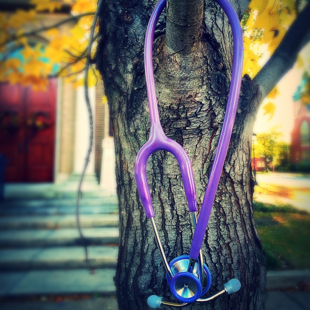 Meet your Posher, Paulina